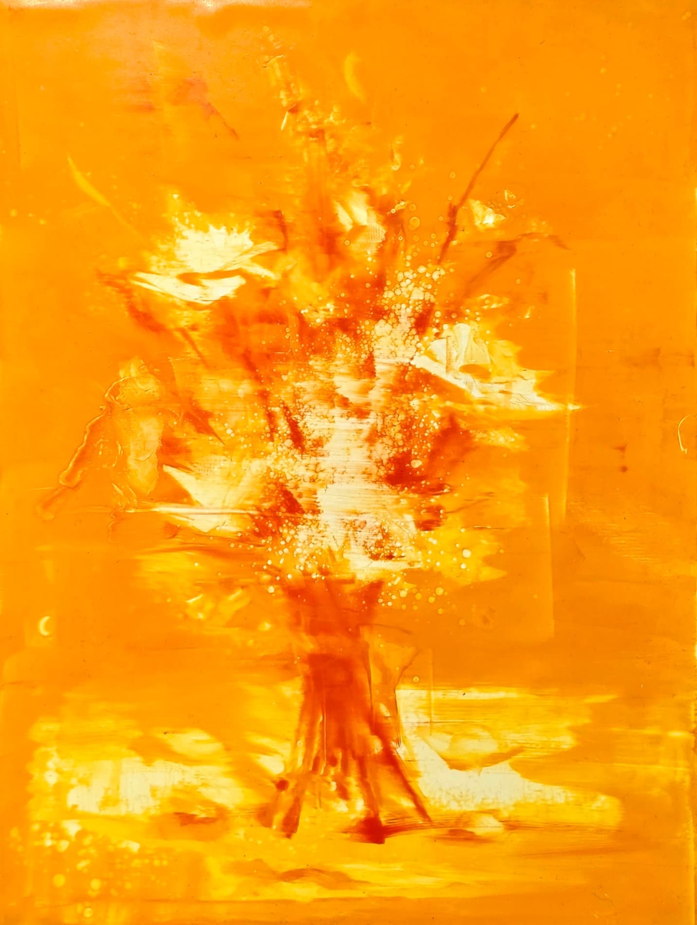 Fleurs jaune feu